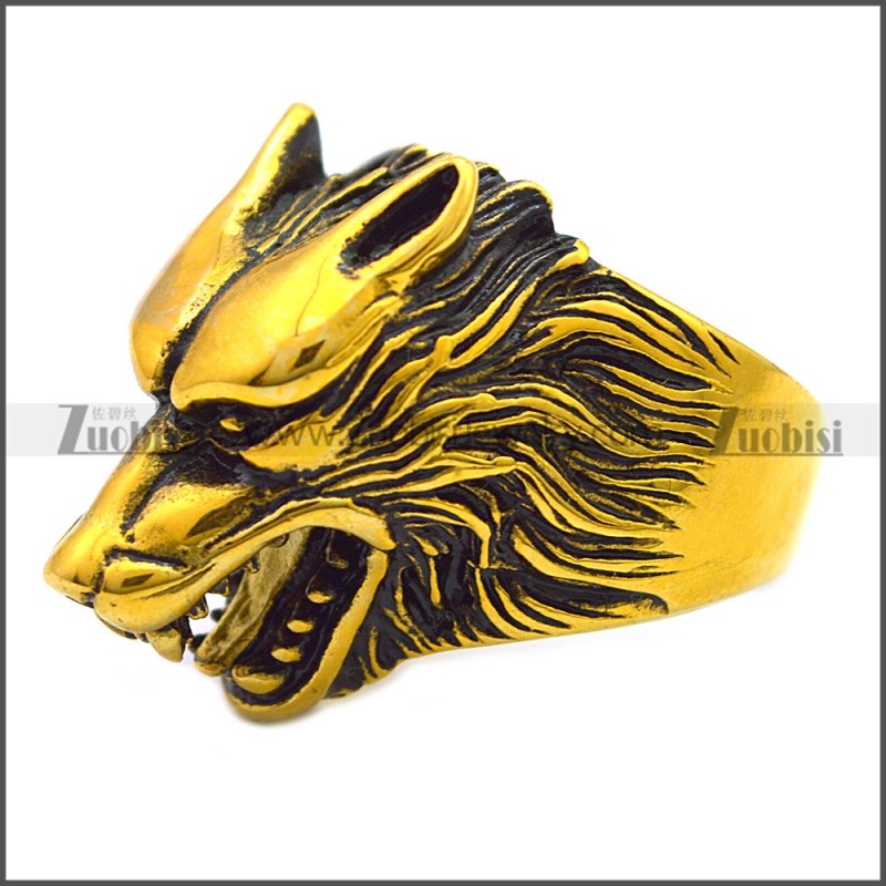 Stainless Steel Ring r008518GH