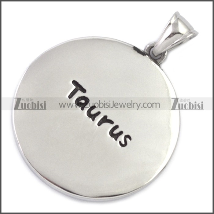 Stainless Steel Pendant p010537SH5