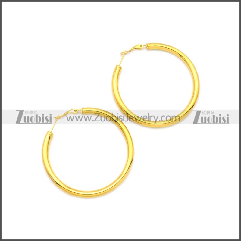 Stainless Steel Earring e002136G2