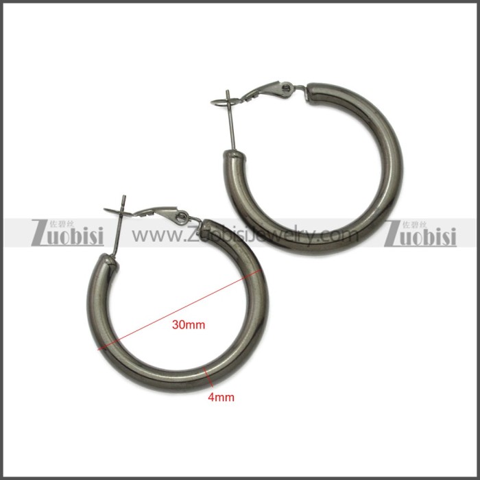 Stainless Steel Earring e002136H4