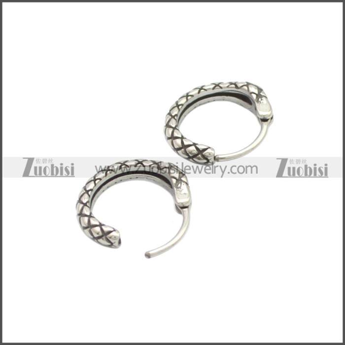 Stainless Steel Earring e002133SA