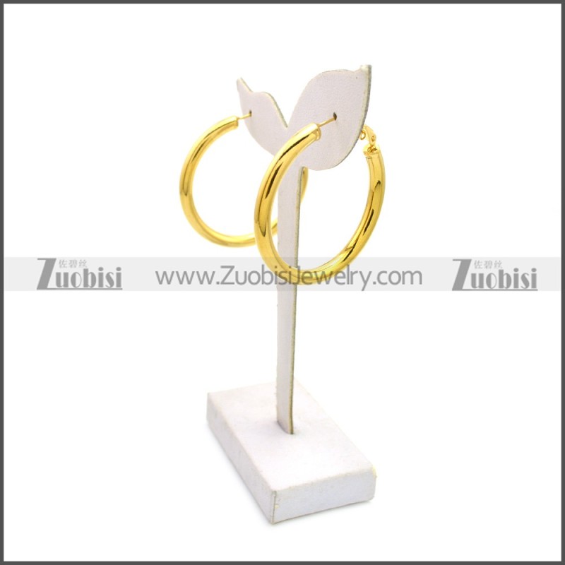 Stainless Steel Earring e002136G3