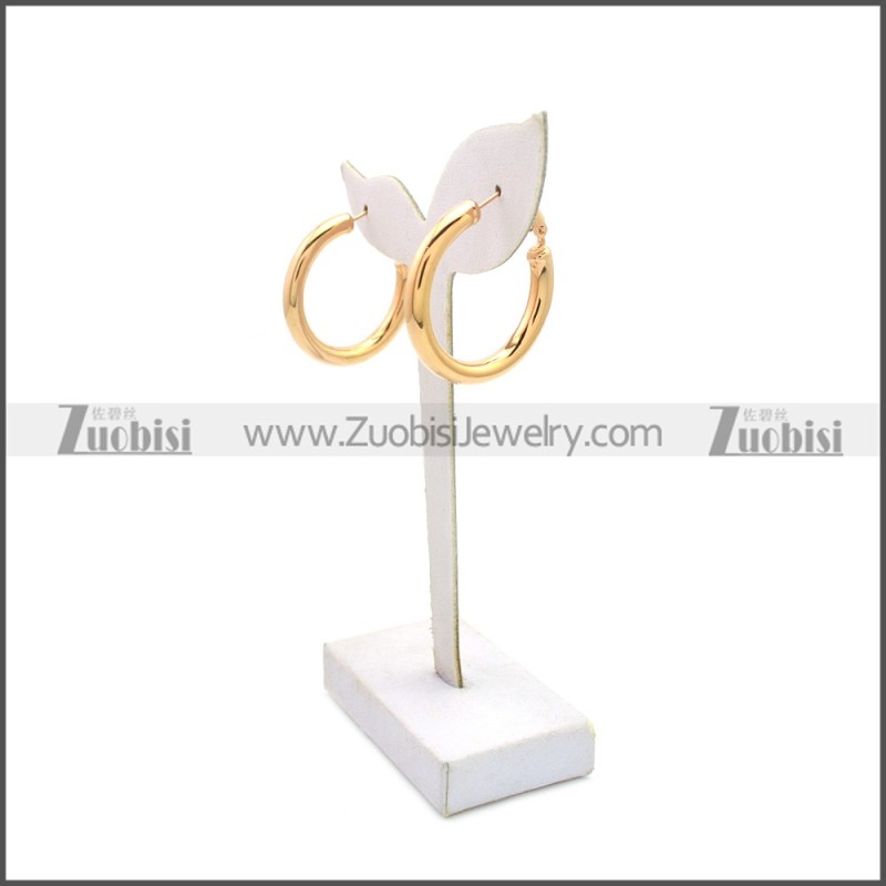 Stainless Steel Earring e002136R4