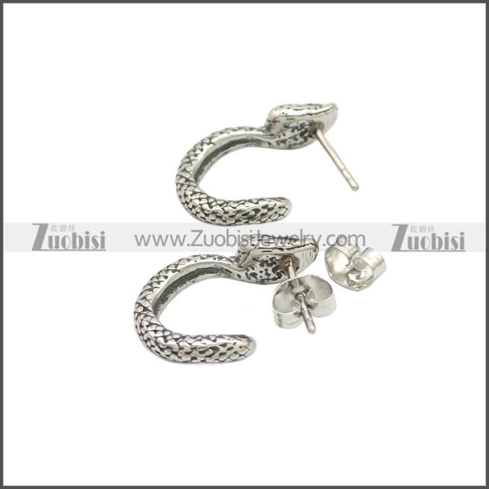 Stainless Steel Earring e002125SA