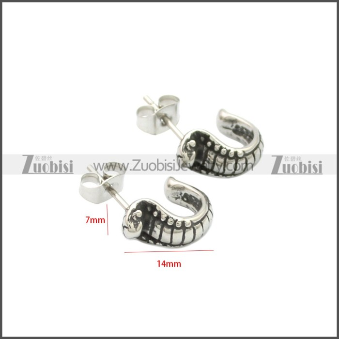 Stainless Steel Earring e002128SA
