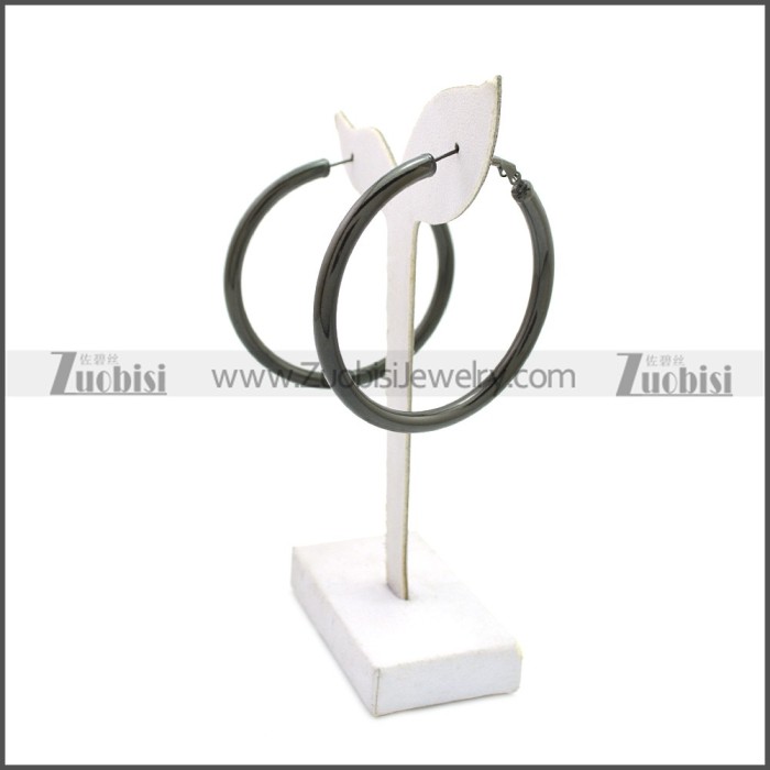 Stainless Steel Earring e002136H2