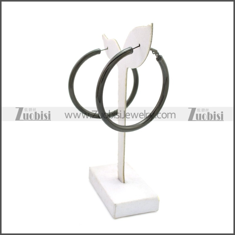 Stainless Steel Earring e002136H2
