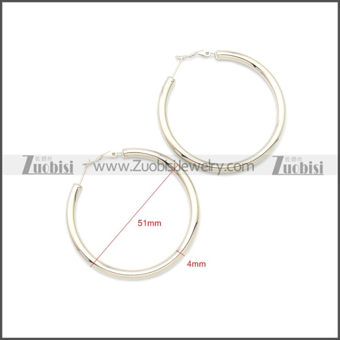 Stainless Steel Earring e002136S2
