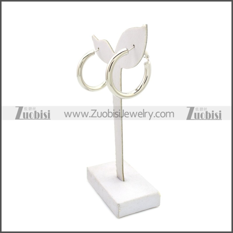 Stainless Steel Earring e002136S4