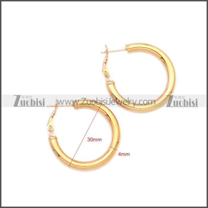 Stainless Steel Earring e002136R4