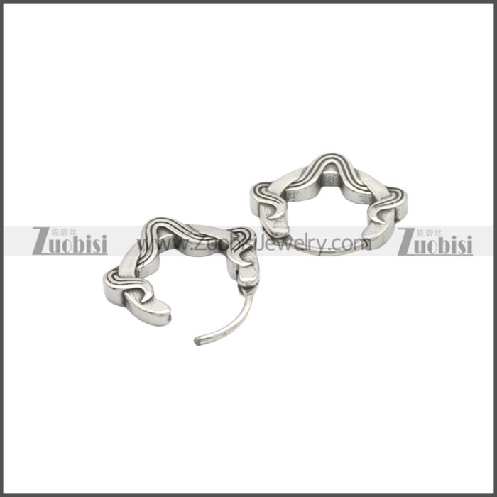 Stainless Steel Earring e002131SA