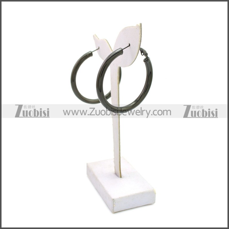 Stainless Steel Earring e002136H3