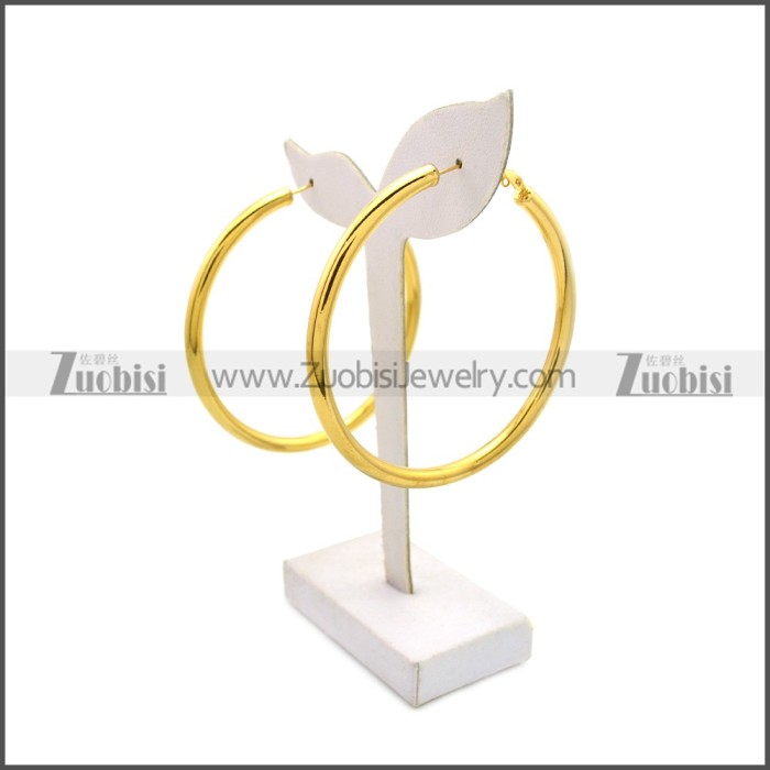 Stainless Steel Earring e002136G1