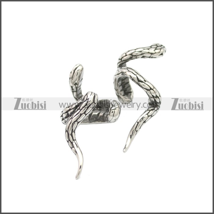 Stainless Steel Earring e002121SA