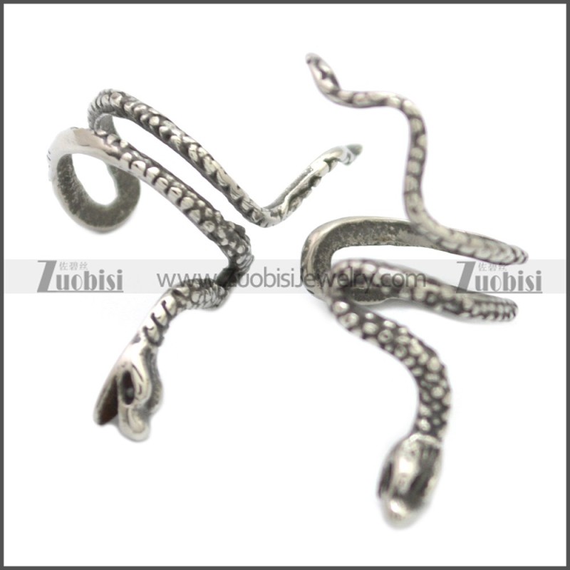 Stainless Steel Earring e002118SA