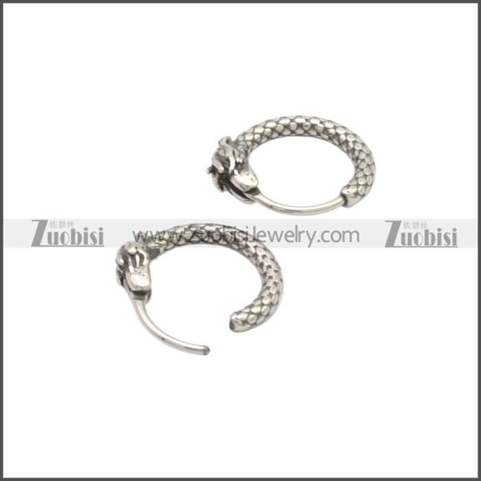 Stainless Steel Earring e002132SA