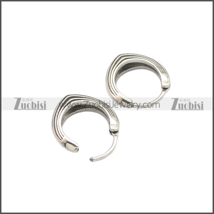 Stainless Steel Earring e002135SA