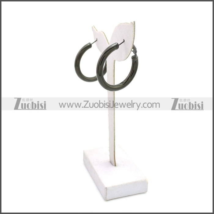 Stainless Steel Earring e002136H4