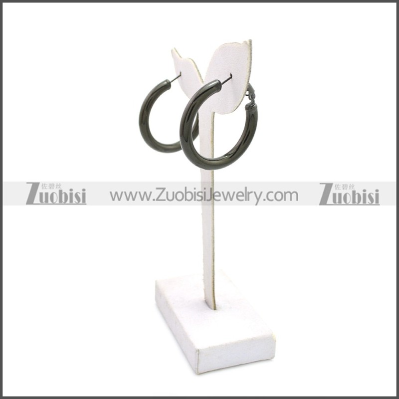 Stainless Steel Earring e002136H4