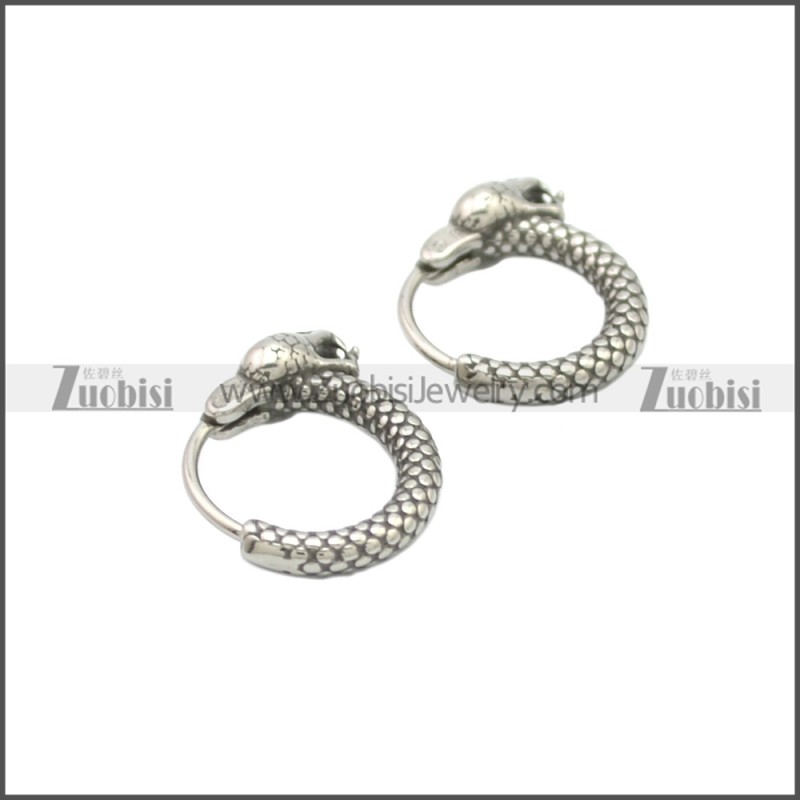 Stainless Steel Earring e002123SA