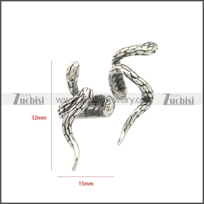 Stainless Steel Earring e002121SA