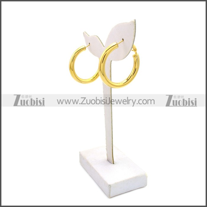 Stainless Steel Earring e002136G4