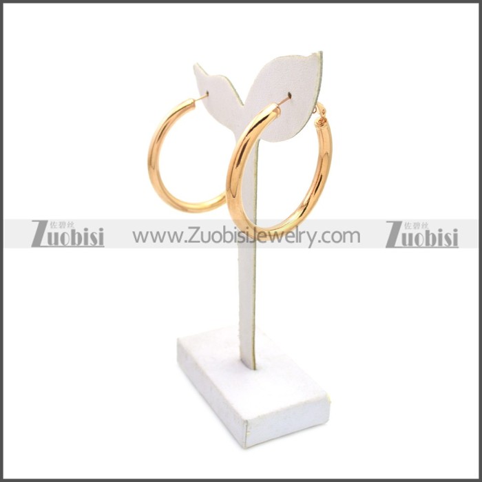 Stainless Steel Earring e002136R3