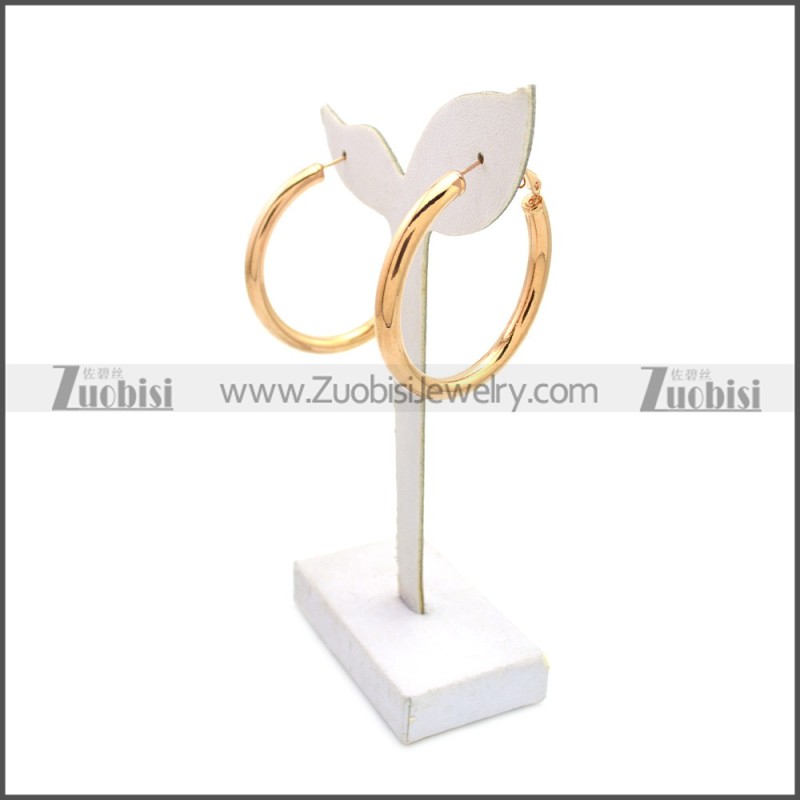 Stainless Steel Earring e002136R3