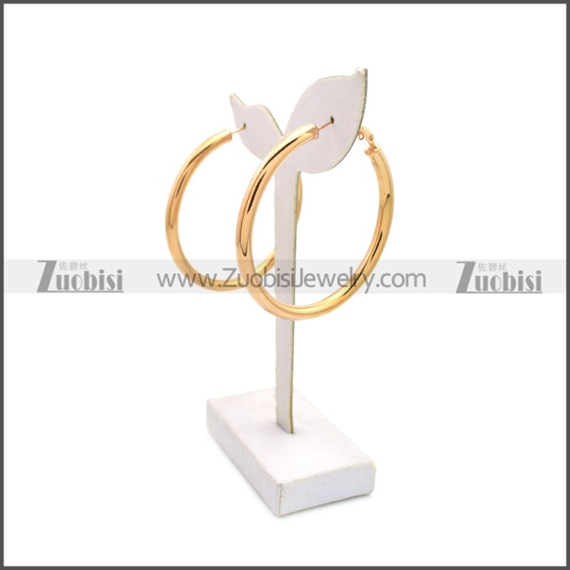 Stainless Steel Earring e002136R2