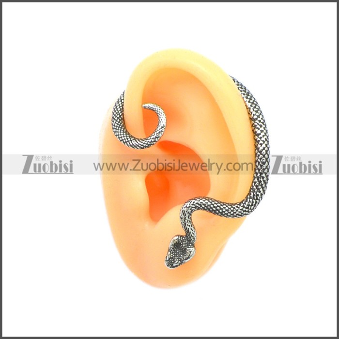 Stainless Steel Earring e002120SA