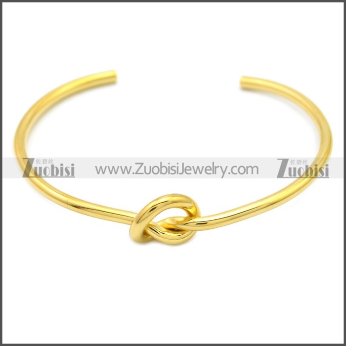 Stainless Steel Bangle b009867G