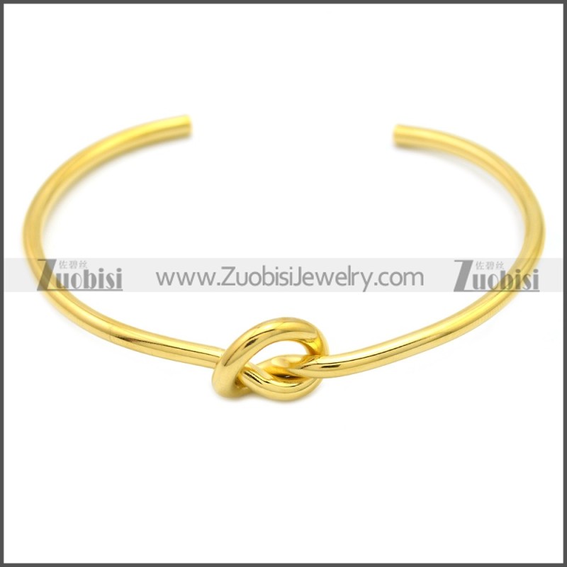 Stainless Steel Bangle b009867G