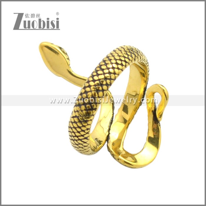 Stainless Steel Ring r008717GA