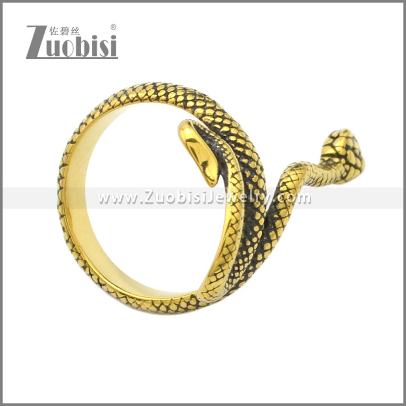 Stainless Steel Ring r008717GA