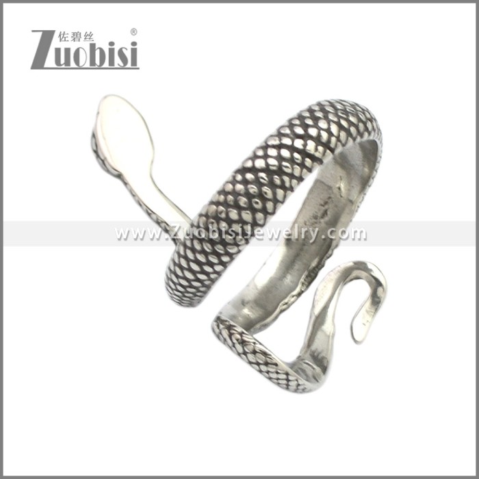Stainless Steel Ring r008717SA