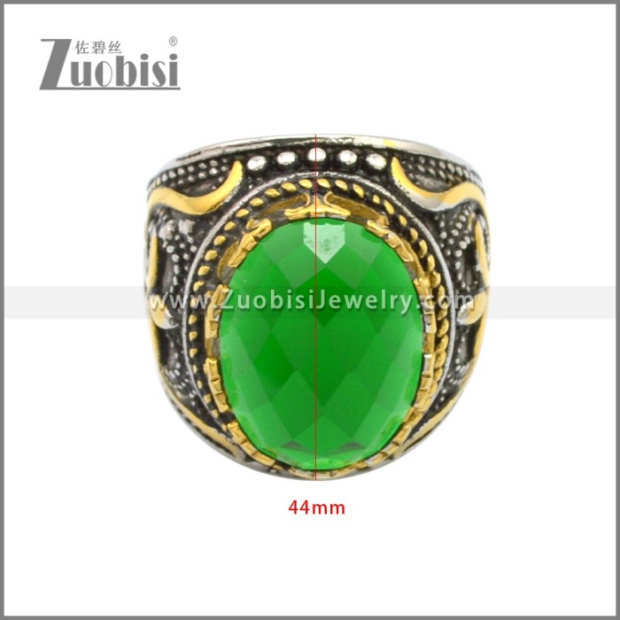 Stainless Steel Ring r008747SAG