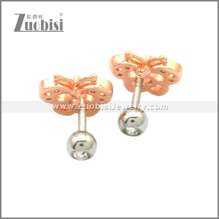 Stainless Steel Earring e002177R