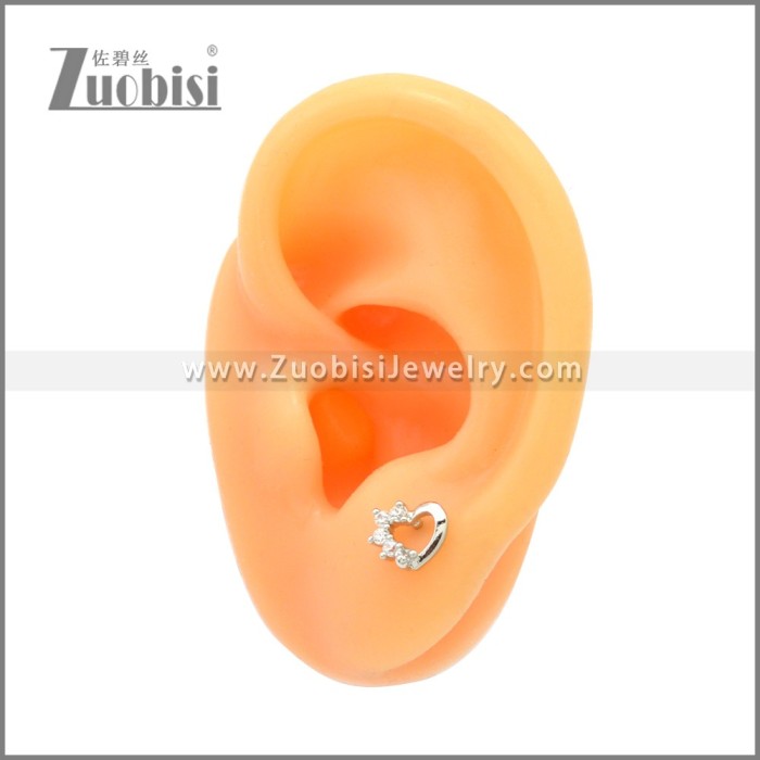 Stainless Steel Earring e002175S