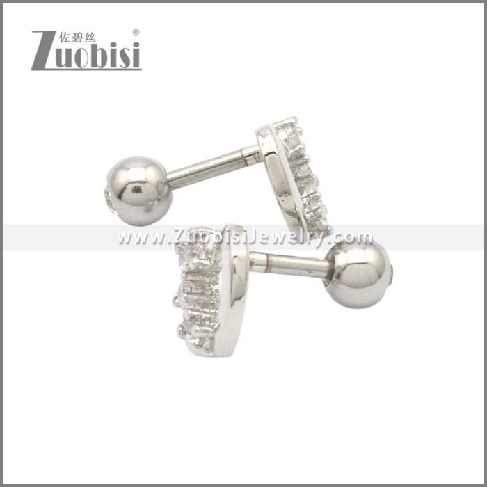Stainless Steel Earring e002175S