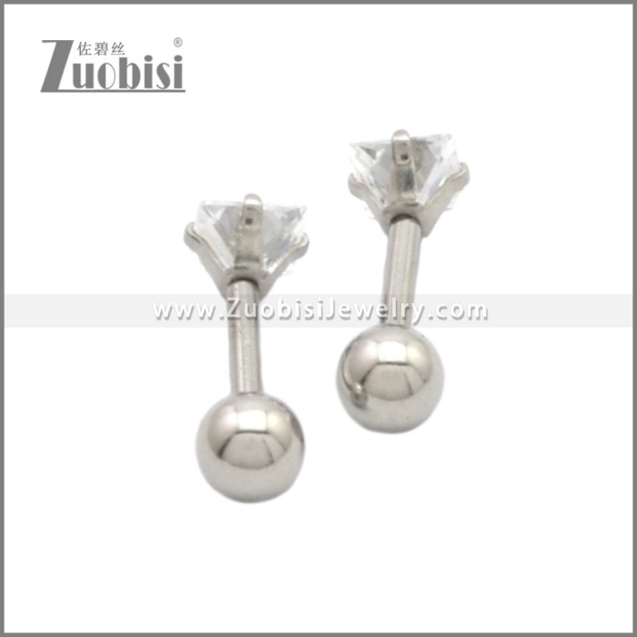Stainless Steel Earring e002201S