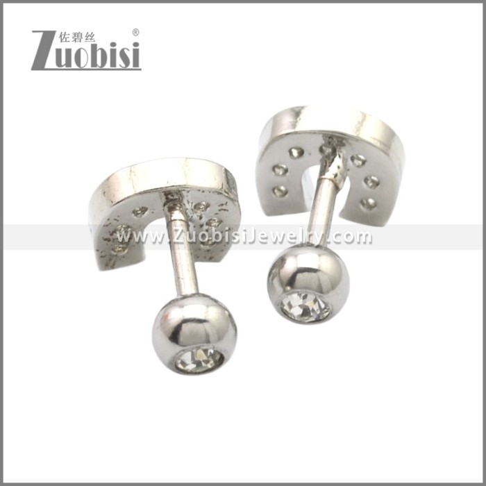 Stainless Steel Earring e002173S