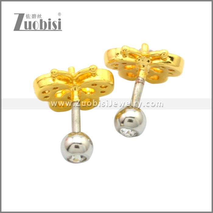 Stainless Steel Earring e002177G