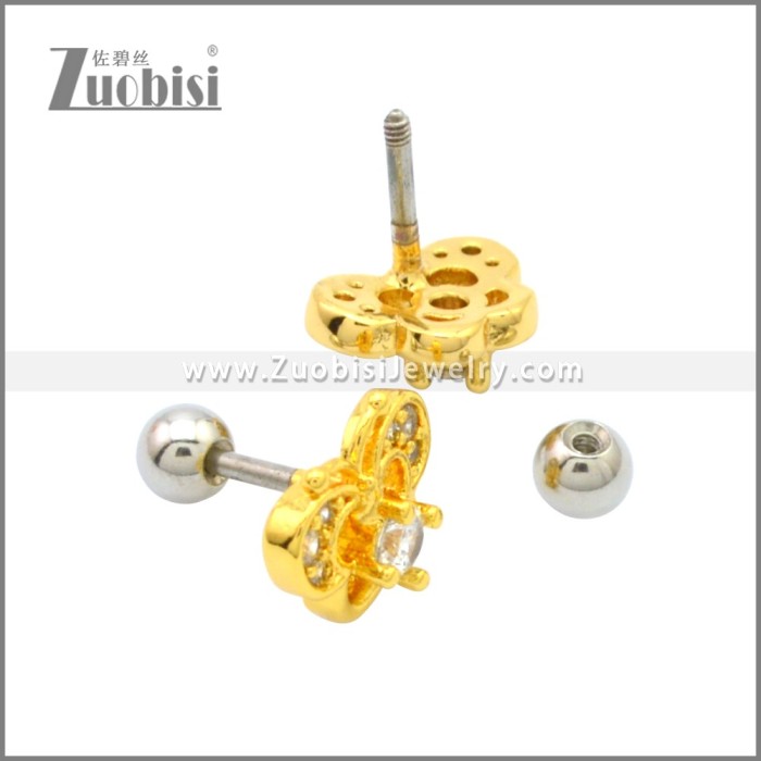 Stainless Steel Earring e002177G