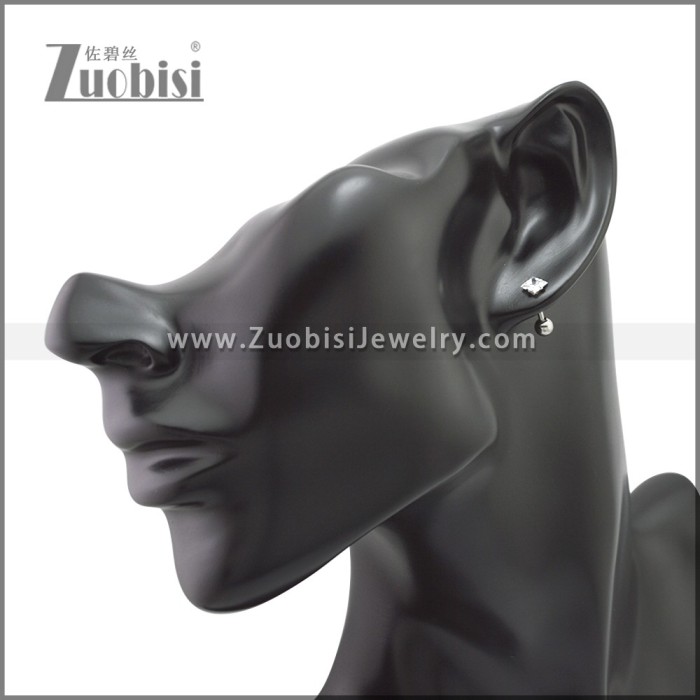 Stainless Steel Earring e002201S