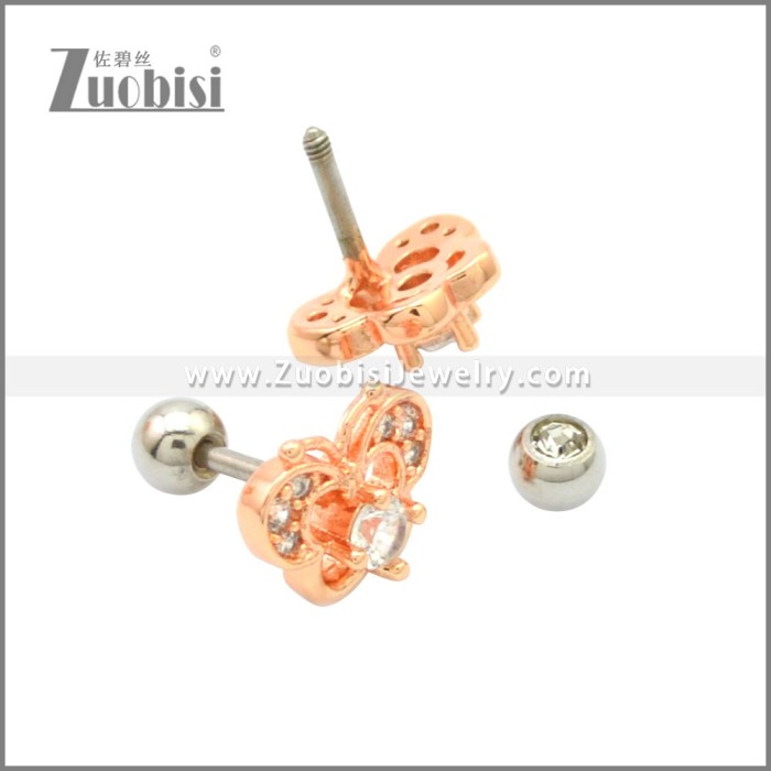 Stainless Steel Earring e002177R