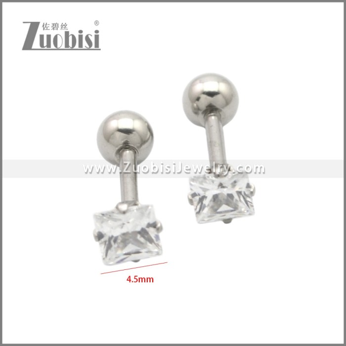 Stainless Steel Earring e002201S