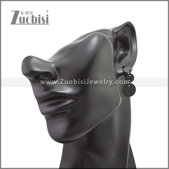 Stainless Steel Earring e002180H