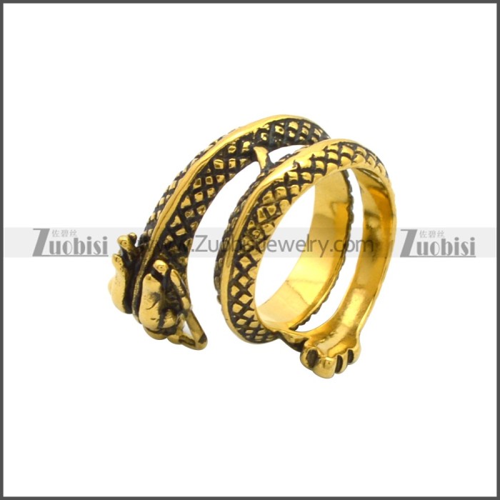 Stainless Steel Ring r008784GA