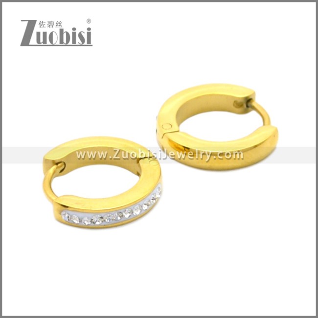 Stainless Steel Earring e002210G