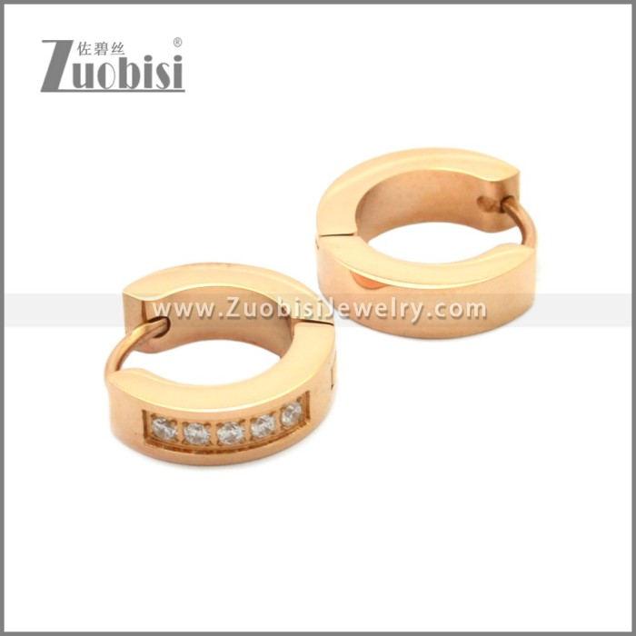 Stainless Steel Earring e002209R